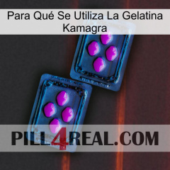 Para Qué Se Utiliza La Gelatina Kamagra 03